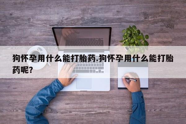 打胎药私人微信购买狗怀孕用什么能打胎药.狗怀孕用什么能打胎药呢？