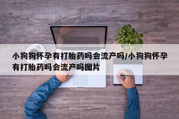 打胎药私人微信购买小狗狗怀孕有打胎药吗会流产吗/小狗狗怀孕有打胎药吗会流产吗图片