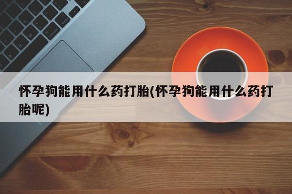 打胎药私人微信购买怀孕狗能用什么药打胎(怀孕狗能用什么药打胎呢)